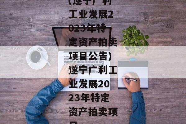 (遂宁广利工业发展2023年特定资产拍卖项目公告)遂宁广利工业发展2023年特定资产拍卖项目-第1张图片-信托定融返点网