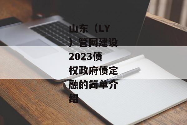 山东（LY）管网建设2023债权政府债定融的简单介绍