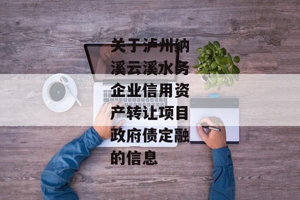 关于泸州纳溪云溪水务企业信用资产转让项目政府债定融的信息-第1张图片-信托定融返点网