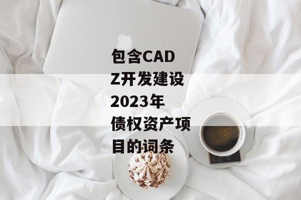 包含CADZ开发建设2023年债权资产项目的词条