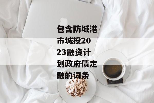 包含防城港市城投2023融资计划政府债定融的词条