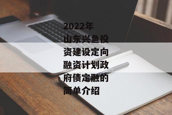 2022年山东兴鱼投资建设定向融资计划政府债定融的简单介绍-第1张图片-信托定融返点网