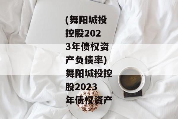 (舞阳城投控股2023年债权资产负债率)舞阳城投控股2023年债权资产