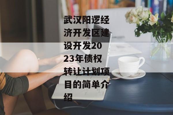 武汉阳逻经济开发区建设开发2023年债权转让计划项目的简单介绍-第1张图片-信托定融返点网