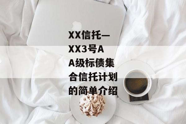 XX信托—XX3号AA级标债集合信托计划的简单介绍-第1张图片-信托定融返点网