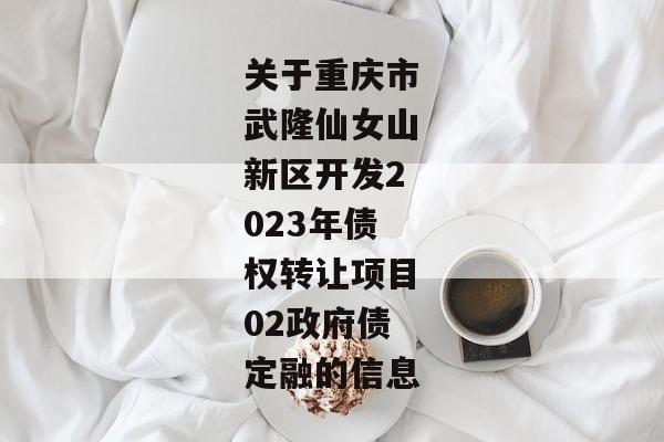 关于重庆市武隆仙女山新区开发2023年债权转让项目02政府债定融的信息-第1张图片-信托定融返点网