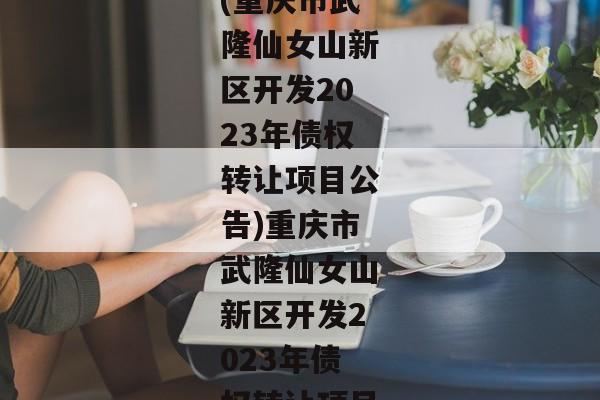 (重庆市武隆仙女山新区开发2023年债权转让项目公告)重庆市武隆仙女山新区开发2023年债权转让项目