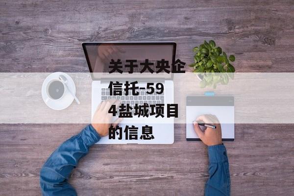 关于大央企信托-594盐城项目的信息