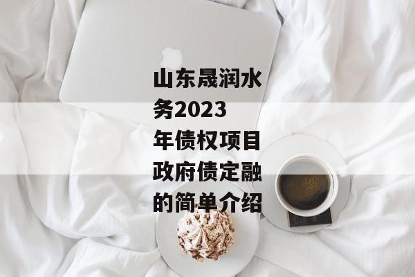 山东晟润水务2023年债权项目政府债定融的简单介绍