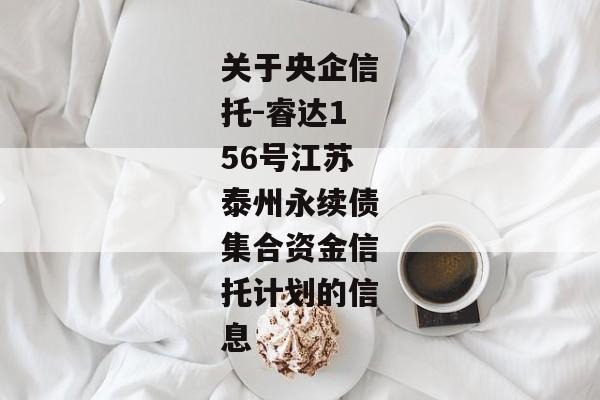 关于央企信托-睿达156号江苏泰州永续债集合资金信托计划的信息