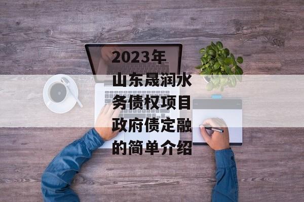 2023年山东晟润水务债权项目政府债定融的简单介绍-第1张图片-信托定融返点网