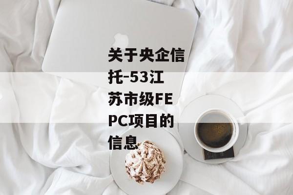 关于央企信托-53江苏市级FEPC项目的信息