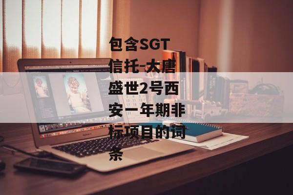 包含SGT信托-大唐盛世2号西安一年期非标项目的词条-第1张图片-信托定融返点网