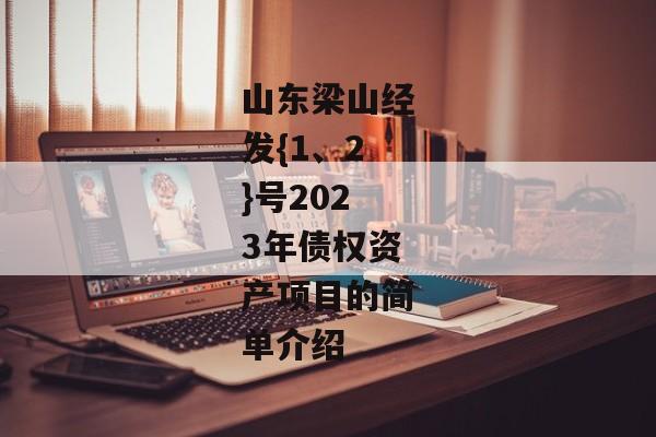 山东梁山经发{1、2}号2023年债权资产项目的简单介绍-第1张图片-信托定融返点网