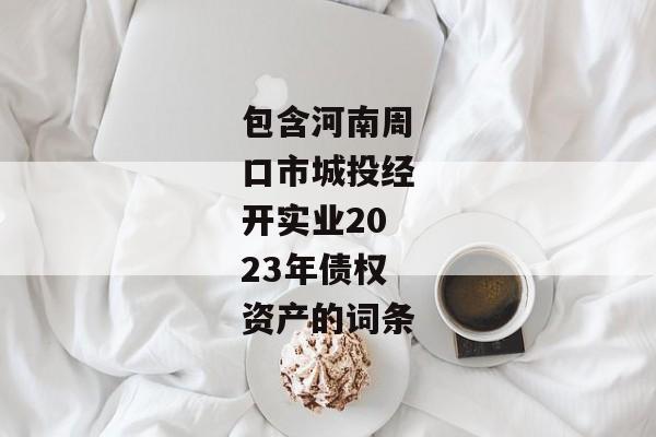 包含河南周口市城投经开实业2023年债权资产的词条