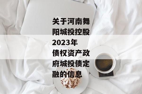 关于河南舞阳城投控股2023年债权资产政府城投债定融的信息