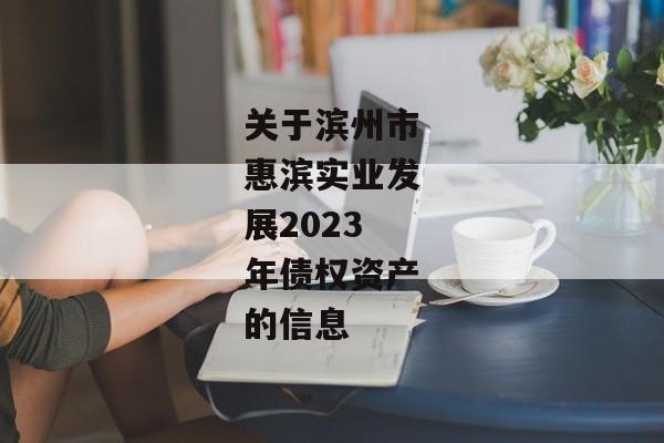 关于滨州市惠滨实业发展2023年债权资产的信息