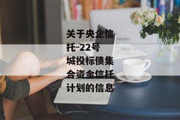 关于央企信托-22号城投标债集合资金信托计划的信息-第1张图片-信托定融返点网