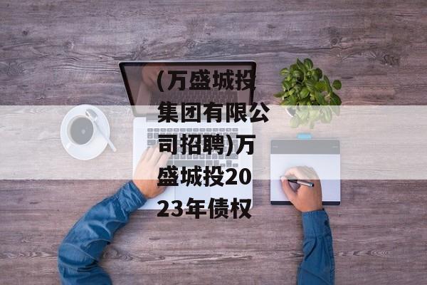 (万盛城投集团有限公司招聘)万盛城投2023年债权