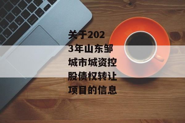 关于2023年山东邹城市城资控股债权转让项目的信息-第1张图片-信托定融返点网