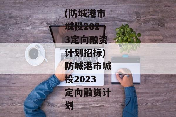 (防城港市城投2023定向融资计划招标)防城港市城投2023定向融资计划-第1张图片-信托定融返点网