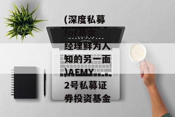 (深度私募fof基金经理鲜为人知的另一面)AFMY2号私募证券投资基金