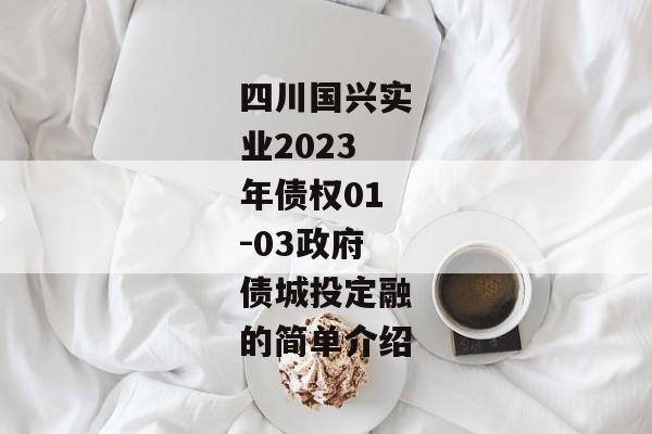 四川国兴实业2023年债权01-03政府债城投定融的简单介绍