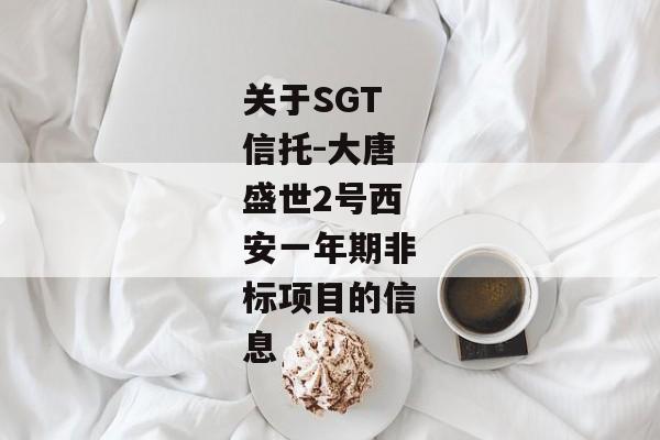 关于SGT信托-大唐盛世2号西安一年期非标项目的信息