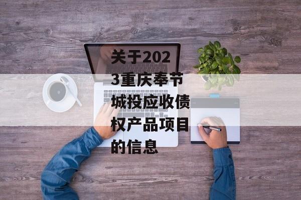 关于2023重庆奉节城投应收债权产品项目的信息