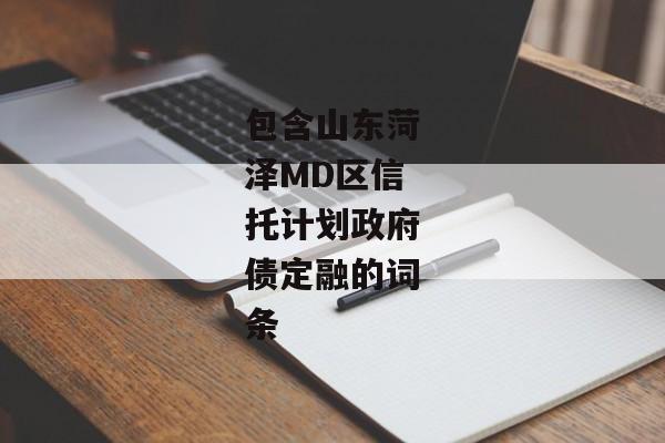 包含山东菏泽MD区信托计划政府债定融的词条