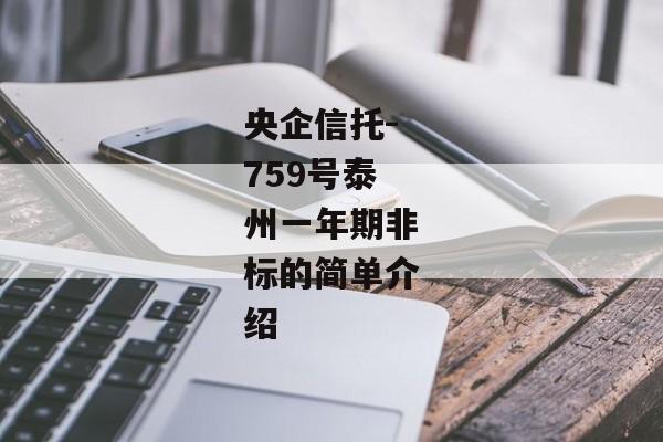 央企信托-759号泰州一年期非标的简单介绍-第1张图片-信托定融返点网