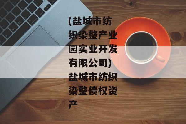 (盐城市纺织染整产业园实业开发有限公司)盐城市纺织染整债权资产