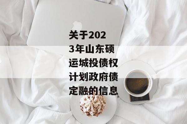 关于2023年山东硕运城投债权计划政府债定融的信息-第1张图片-信托定融返点网