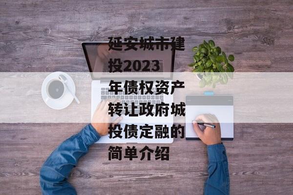 延安城市建投2023年债权资产转让政府城投债定融的简单介绍