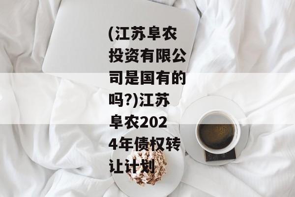 (江苏阜农投资有限公司是国有的吗?)江苏阜农2024年债权转让计划