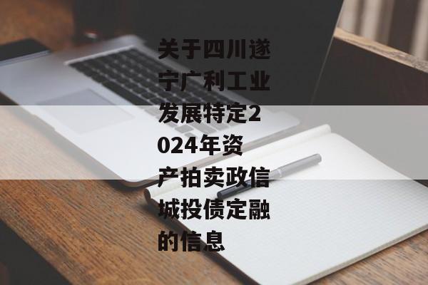 关于四川遂宁广利工业发展特定2024年资产拍卖政信城投债定融的信息