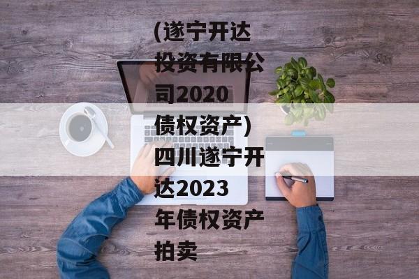 (遂宁开达投资有限公司2020债权资产)四川遂宁开达2023年债权资产拍卖