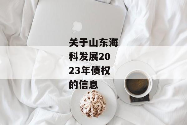 关于山东海科发展2023年债权的信息