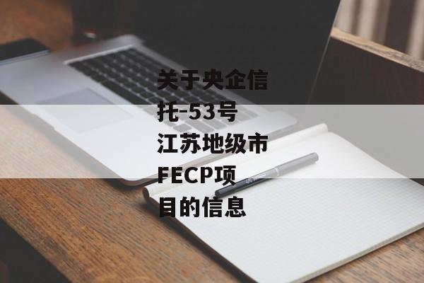 关于央企信托-53号江苏地级市FECP项目的信息