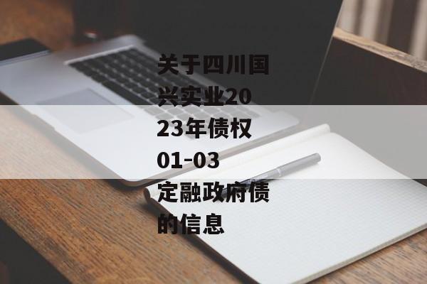 关于四川国兴实业2023年债权01-03定融政府债的信息