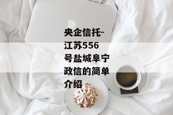 央企信托-江苏556号盐城阜宁政信的简单介绍