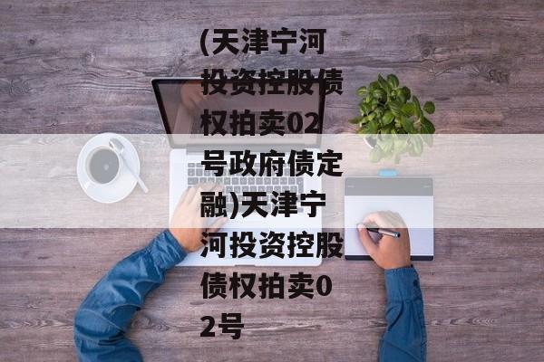 (天津宁河投资控股债权拍卖02号政府债定融)天津宁河投资控股债权拍卖02号