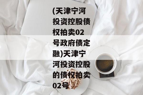 (天津宁河投资控股债权拍卖02号政府债定融)天津宁河投资控股的债权拍卖02号-第1张图片-信托定融返点网