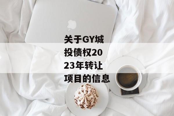 关于GY城投债权2023年转让项目的信息