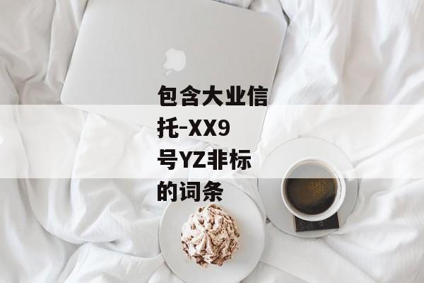 包含大业信托-XX9号YZ非标的词条