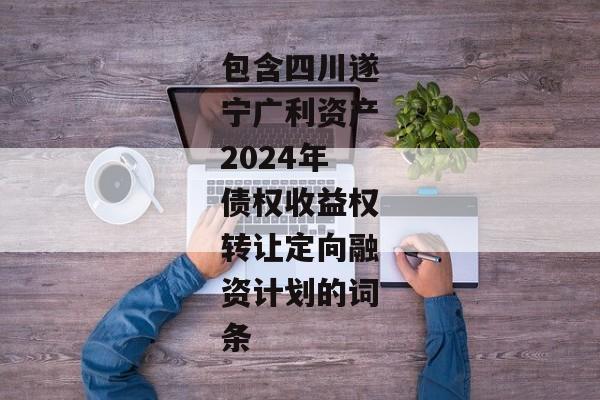 包含四川遂宁广利资产2024年债权收益权转让定向融资计划的词条