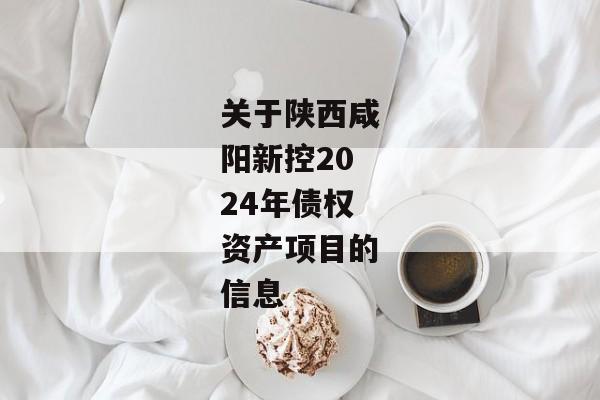 关于陕西咸阳新控2024年债权资产项目的信息-第1张图片-信托定融返点网