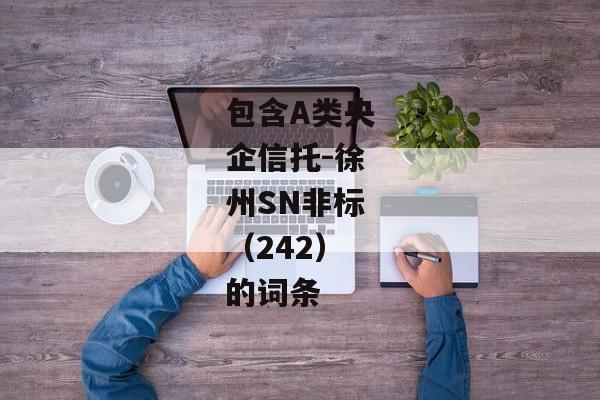 包含A类央企信托-徐州SN非标（242）的词条