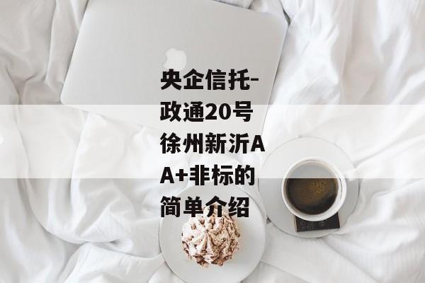 央企信托-政通20号徐州新沂AA+非标的简单介绍