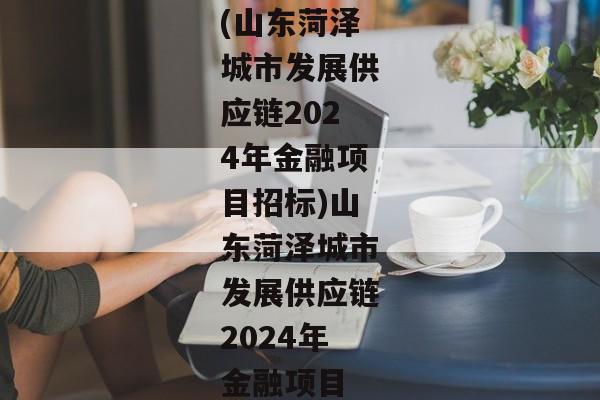 (山东菏泽城市发展供应链2024年金融项目招标)山东菏泽城市发展供应链2024年金融项目